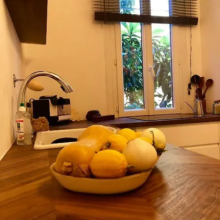 Un Coin De Paradis Dans Le Quartier De La Liberation *